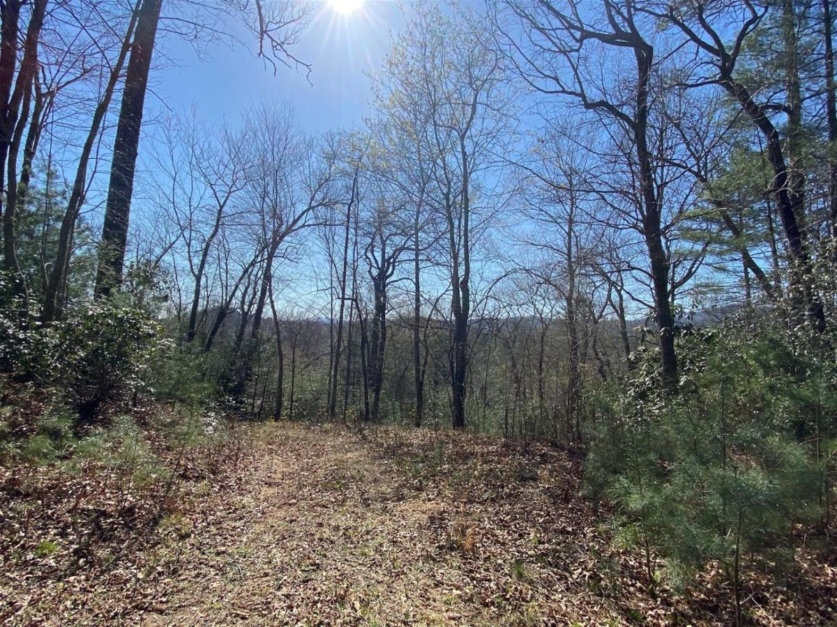Coyote Lodge At Deerwoode Reserve 브레바드 외부 사진